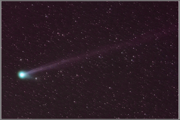 C2009/R1 McNaught